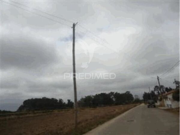 Land with 2990sqm São Bernardo Aveiro