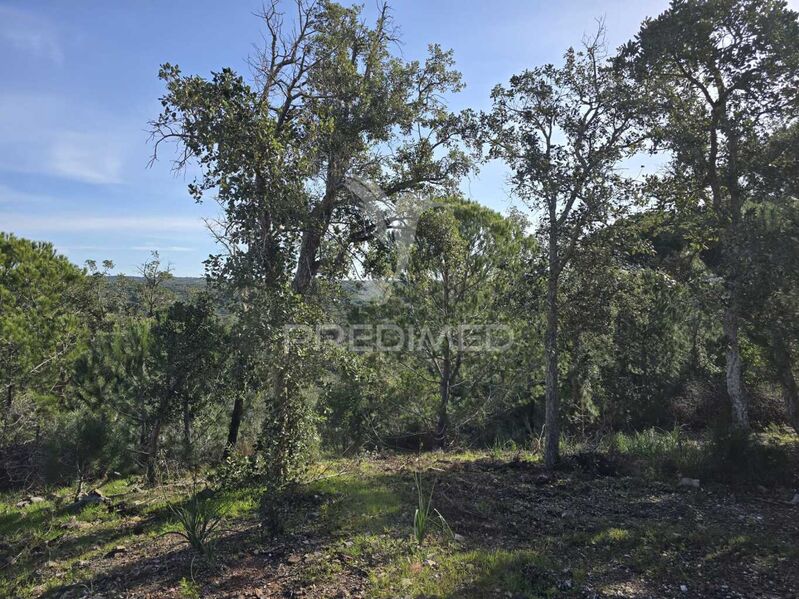 Land Rustic with 126250sqm Melides Grândola - cork oaks, construction viability, electricity, sea view