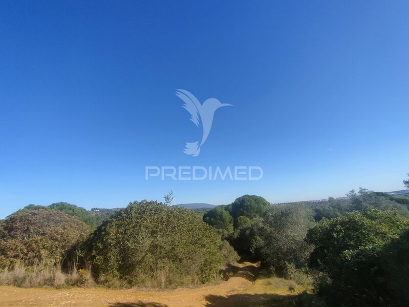 Land Rustic with 14760sqm Monsanto Alcanena