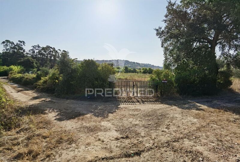 Terreno Agrícola com 4480m2 Arneiro das Milhariças Alcanena - água, poço