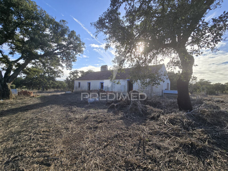 Farm 2 bedrooms Santiago do Cacém - water hole, well, electricity