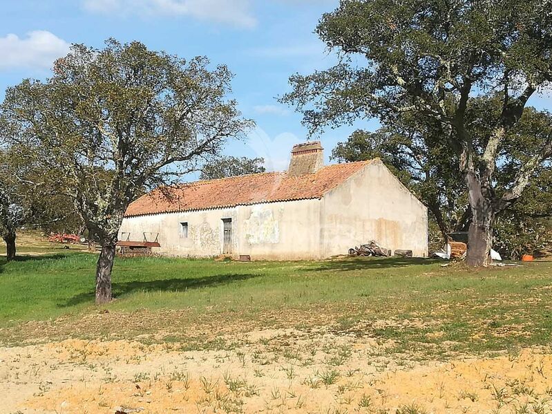 Farm 2 bedrooms Santiago do Cacém - water hole, well, electricity