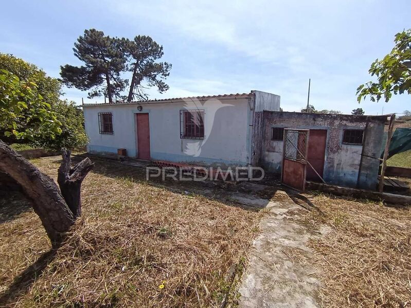 Terreno com 350m2 Quinta do Anjo Palmela - furo, árvores de fruto, água, tanque, poço