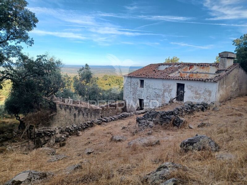 Farm Portalegre - water