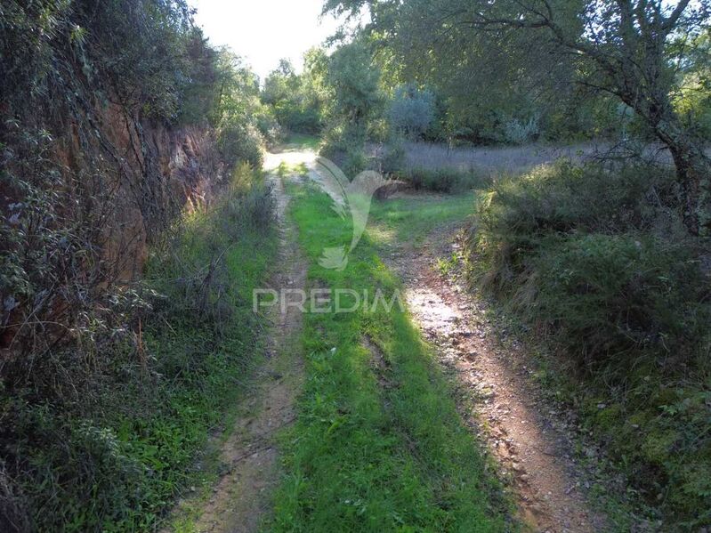 Land Agricultural with 9680sqm Arneiro das Milhariças Santarém