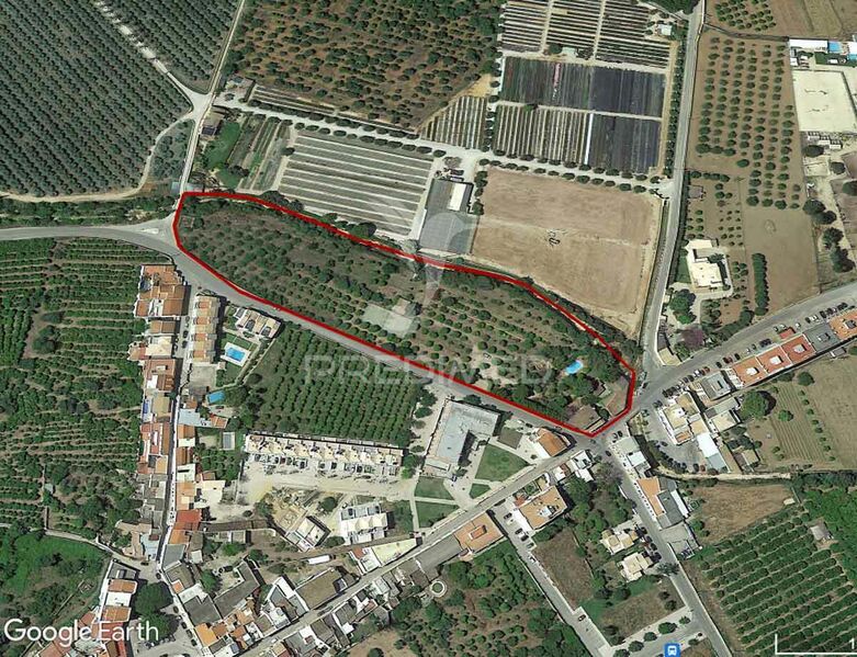 Farm V9 Olhão - tank, garden, peach trees, water hole, water, fruit trees, olive trees, solar panels, tennis court, fireplace, air conditioning, terrace, swimming pool, well, solar panels