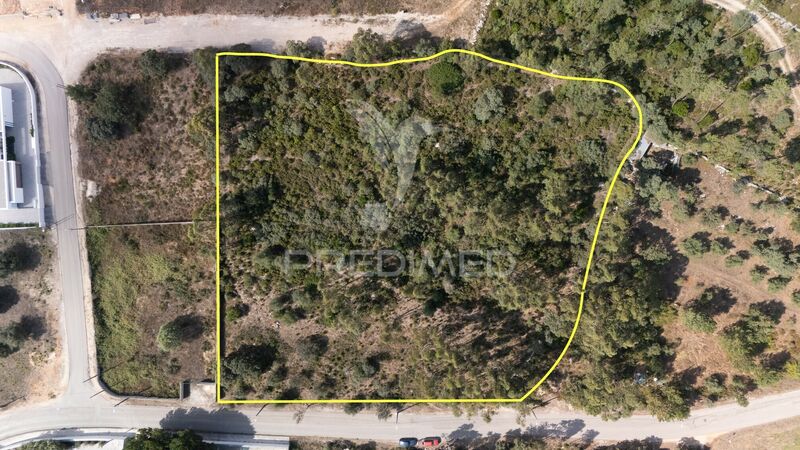 Land with 8274sqm Fátima Ourém