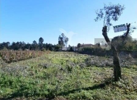 Terreno para construção Valongo do Vouga Águeda