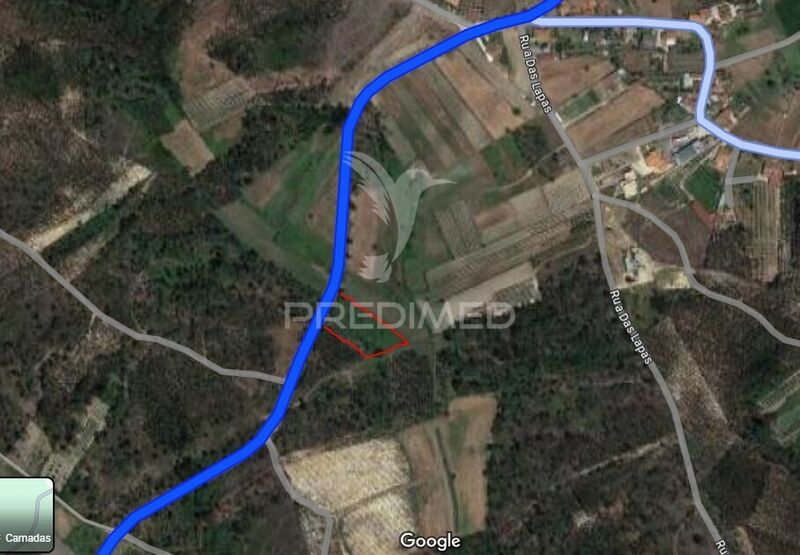 Land with 1620sqm Coimbra