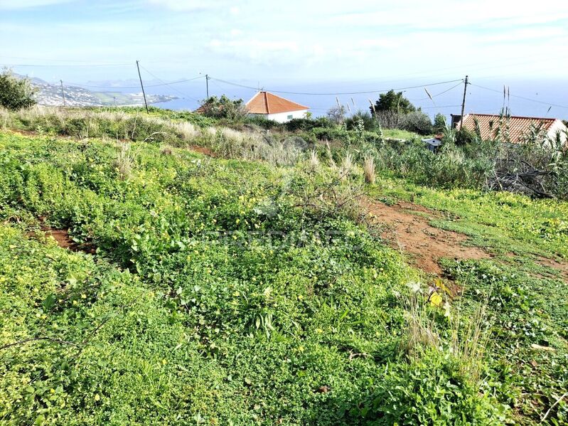 Terreno Rústico para construção Gaula Santa Cruz - zona sossegada