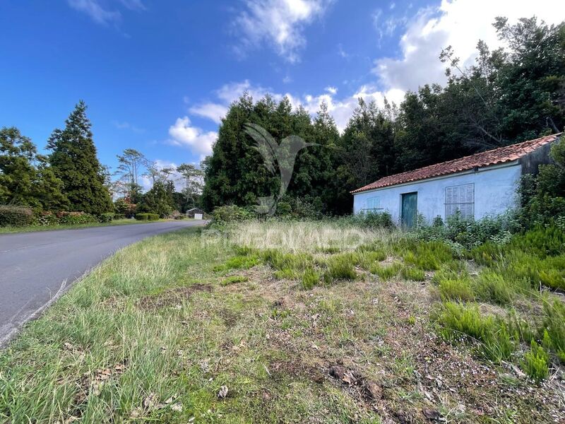 Terreno com 2904m2 São Roque do Pico - árvores de fruto, vista mar