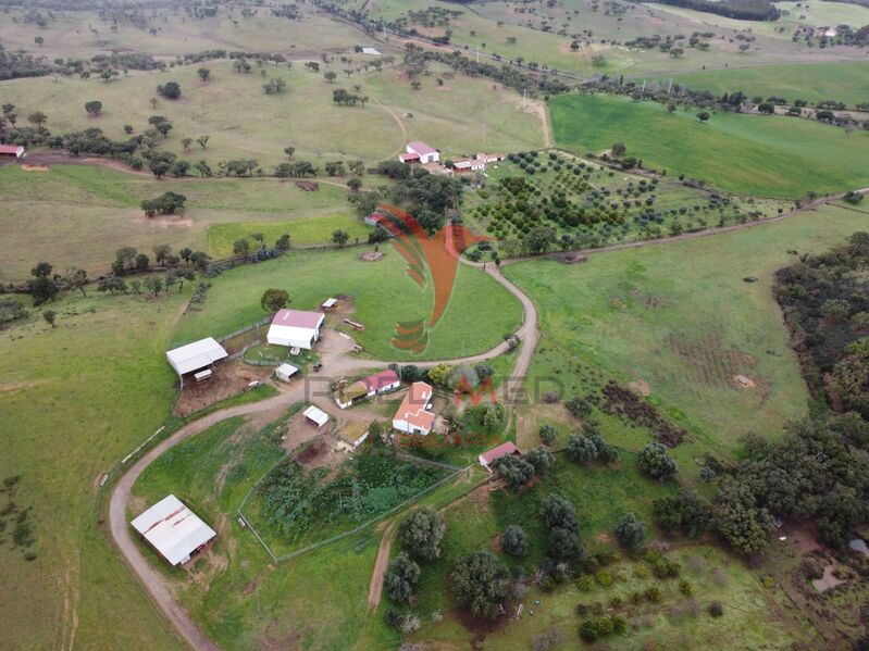 Homestead 2 bedrooms Colos Odemira - water, cork oaks, water hole, electricity, well, fruit trees