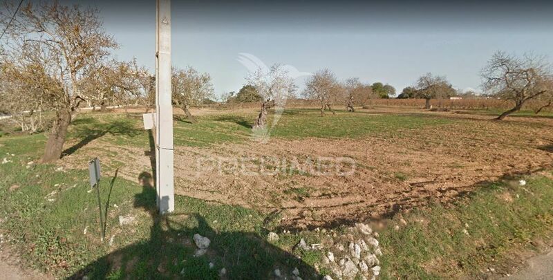 Farm Guia Albufeira - great location, water, equipped, water hole