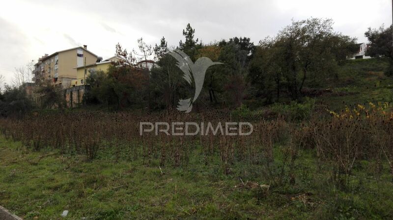 Plot with 19490sqm Coimbra