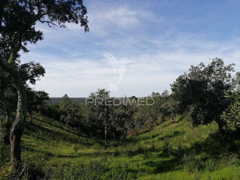 Terreno Urbano com 34000m2 Grândola - furo, electricidade, água