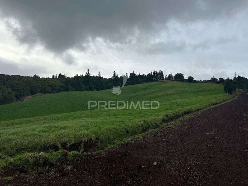 Land Agricultural with 19360sqm Cedros Horta - easy access