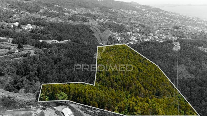 Land Rustic with 10960sqm Gaula Santa Cruz