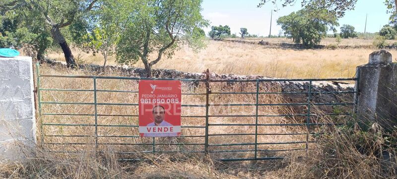 Land Agricultural with 19770sqm Montalvão Nisa - cork oaks