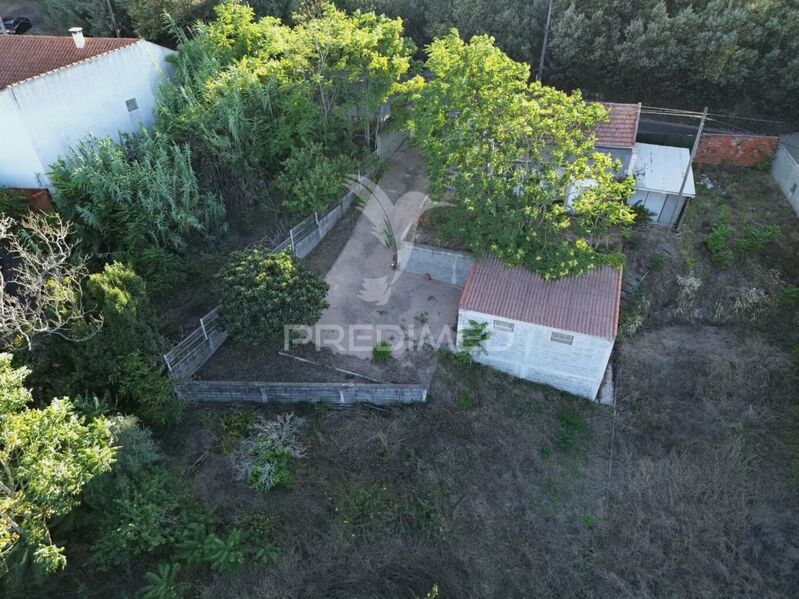 Farm 2 bedrooms Vale de Cavalos Chamusca - great location, garage, well, fruit trees