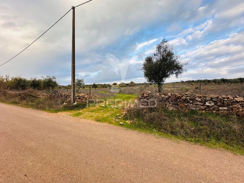 Land with 29000sqm Elvas