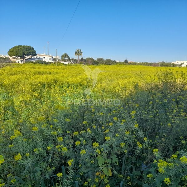 Land Rustic with 20000sqm Faro - electricity, water