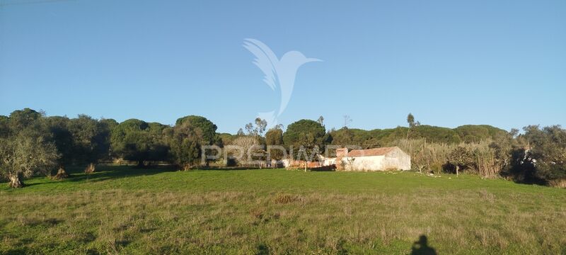 Ruine 0 bedrooms in the center Santiago do Cacém