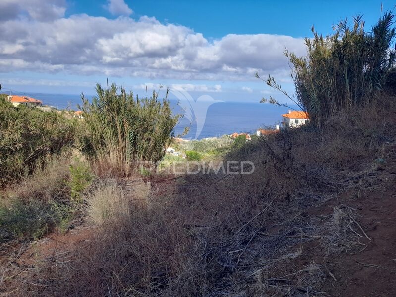 Land Rustic flat Gaula Santa Cruz - quiet area