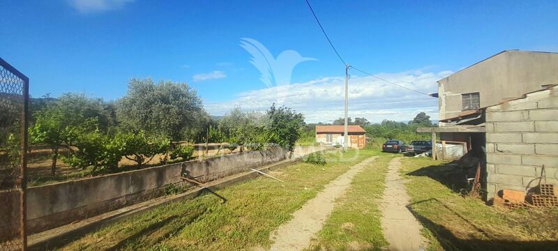 Farm V2 Alcaide Fundão - irrigated land, well, fruit trees, good access
