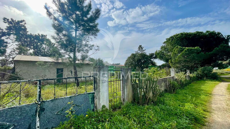 Land Urban flat Seixal - tank, electricity, fruit trees, water