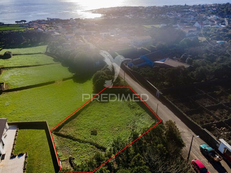 Plot of land nieuw with 737sqm Porto Martins Praia da Vitória - olive trees