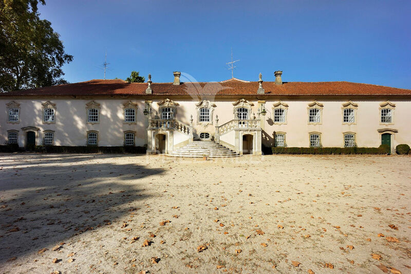 House/Villa Rustic in the center Anadia - garage, balcony, garden, attic, gardens, equipped kitchen, fireplace, swimming pool