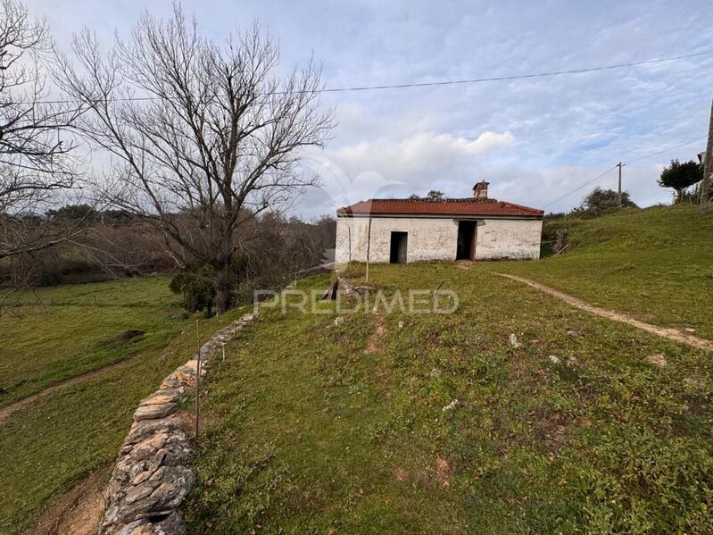 Farm 1 bedrooms Alegrete Portalegre