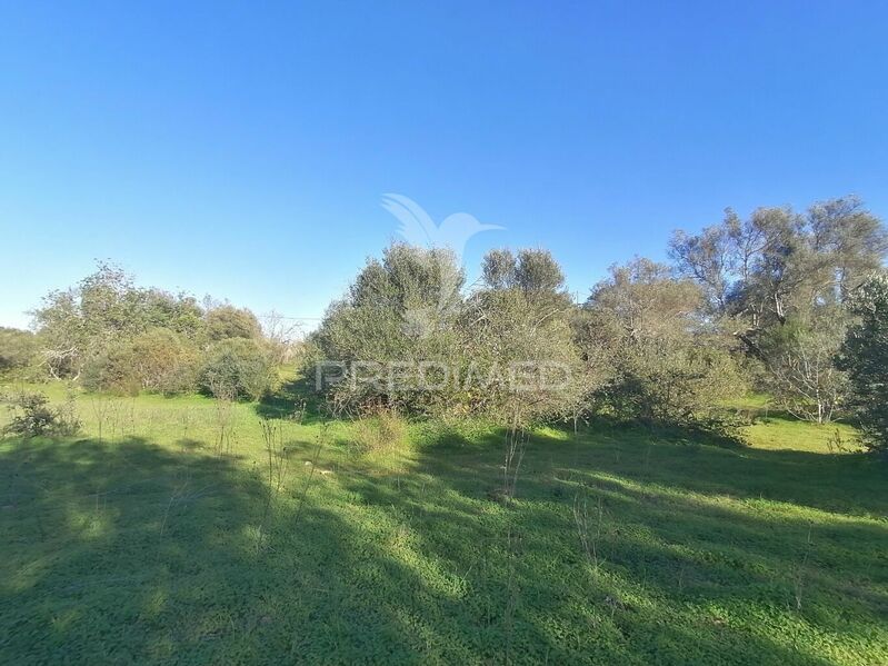 Land Agricultural with 6320sqm Olhão - nice location, easy access