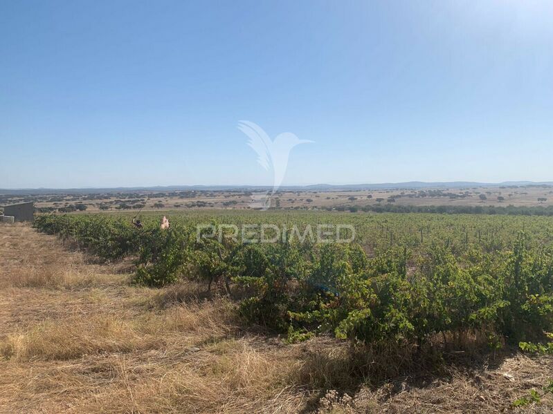 Land with 107000sqm Granja Mourão