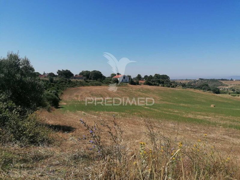 Land Agricultural with 4320sqm Abitureiras Santarém