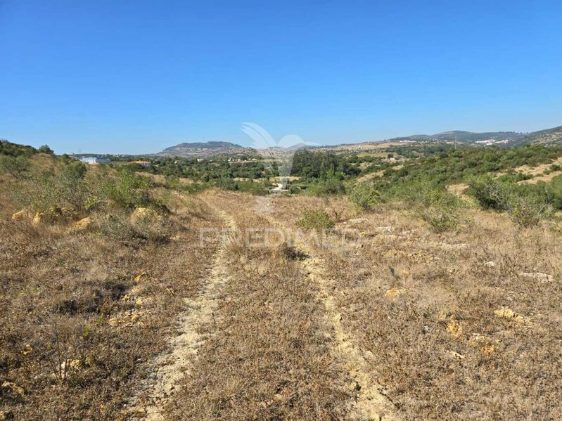 Terreno Rústico com 9687m2 Mafra - garagem