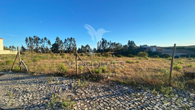 Lote de terreno novo para construção Rio Maior