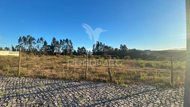 Lote de terreno novo para construção Rio Maior