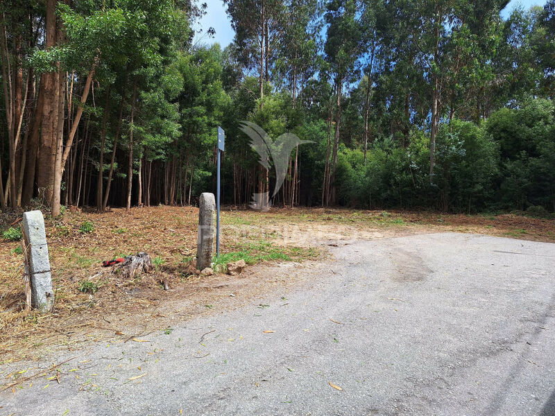 Land Urban/agricultural with 29143sqm São Félix da Marinha Vila Nova de Gaia