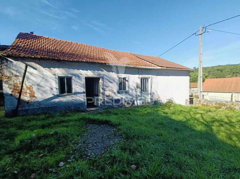 House 2 bedrooms Old to recover São Mamede Batalha - backyard, fireplace