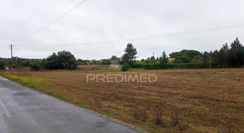 Terreno Agrícola com 9825m2 Boavista dos Pinheiros Odemira - electricidade