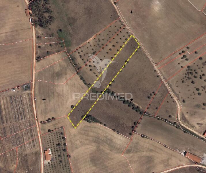 Land Rustic with 6960sqm Monsanto Alcanena