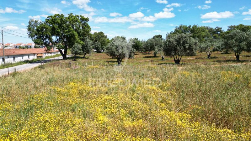 Lote de terreno Urbano com 11750m2 Boavista dos Pinheiros Odemira - água