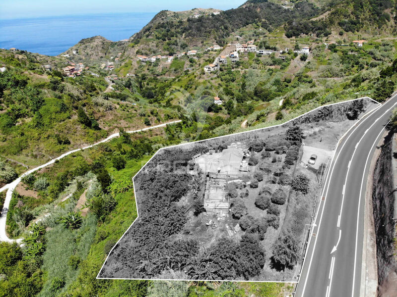 Terreno Rústico com 1752m2 Porto da Cruz Machico - árvores de fruto