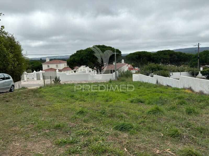 Terreno com 2209m2 Caldas da Rainha - viabilidade de construção