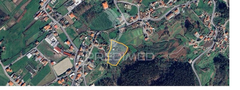 Land Agricultural with 8100sqm Sousela Lousada