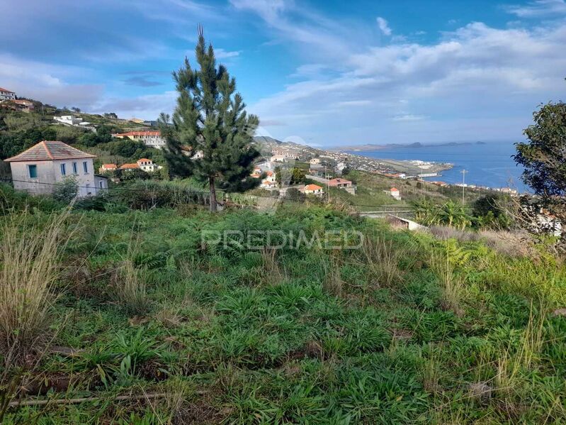 Land Rustic flat Gaula Santa Cruz - quiet area