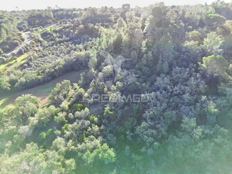 Land Rustic with 18360sqm Arneiro das Milhariças Santarém