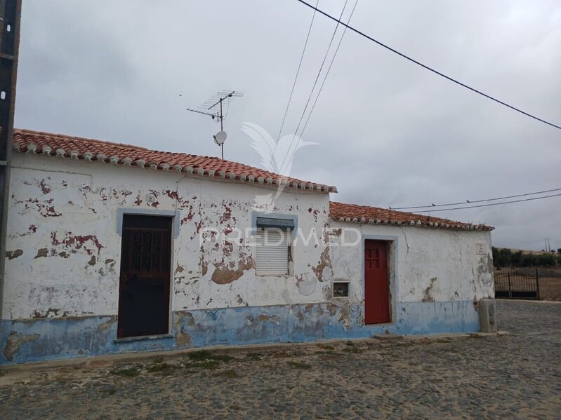 House Typical V3 Baleizão Beja - backyard