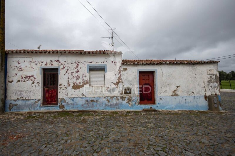 House Typical 3 bedrooms Baleizão Beja - backyard